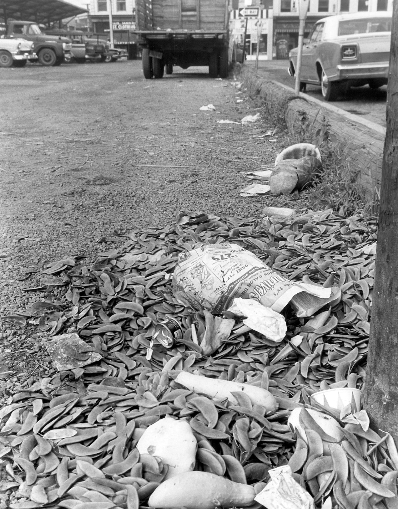 garbage